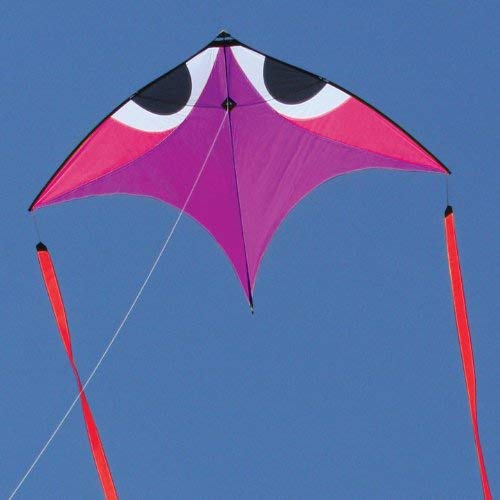 Flying Wings Purple Wala Glider-Kite