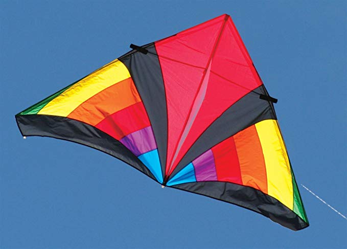 Into The Wind 7-ft. Rainbow Levitation Delta Kite