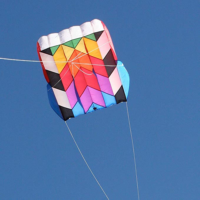 Into The Wind Parafoil 10 Kite