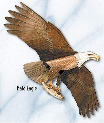 Jackite American Bald Eagle Kite
